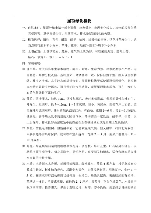 屋顶绿植