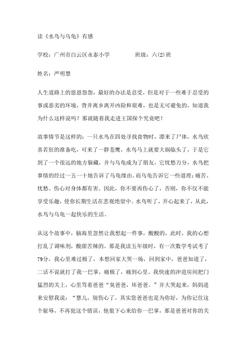 读《水鸟与乌龟》有感 (2)
