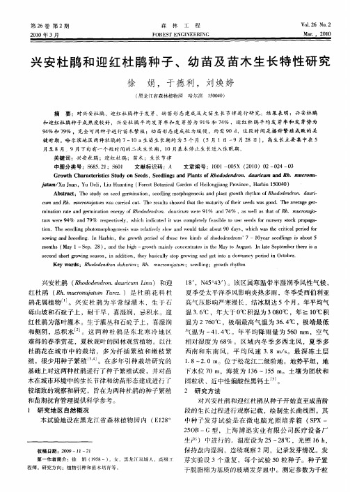 兴安杜鹃和迎红杜鹃种子、幼苗及苗木生长特性研究
