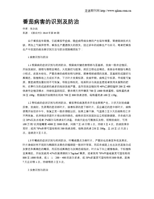 番茄病害的识别及防治