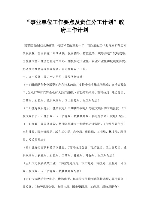事业单位工作要点及责任分工计划政府工作计划