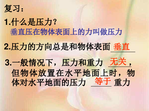 牛顿第一定律1  上海教育版(PPT)5-3