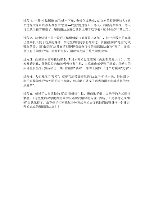 冬虫夏草生长过程