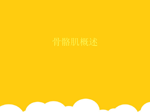 【实用】骨骼肌概述PPT资料