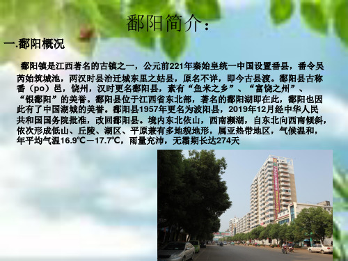 我的家乡—鄱阳78389共21页文档