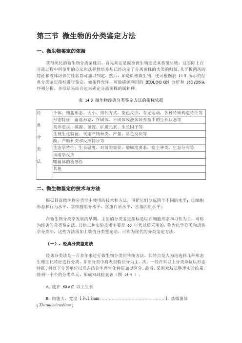微生物分类鉴定
