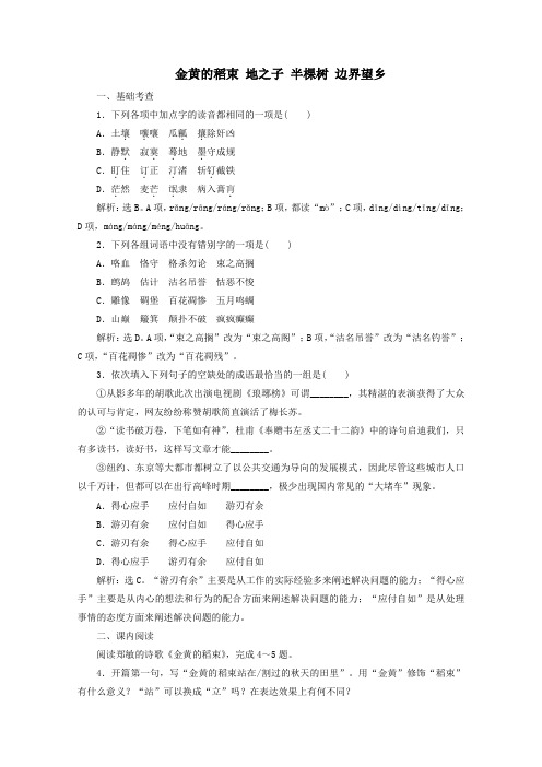 2020学年高中语文诗歌部分大地的歌吟4金黄的稻束地之子半棵树边界望乡训练含解析《中国现代诗歌散文欣赏》