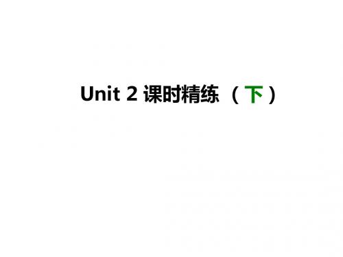 牛津深圳版八年级英语下学期《Unit 2 Body language》课时精练(下)课件