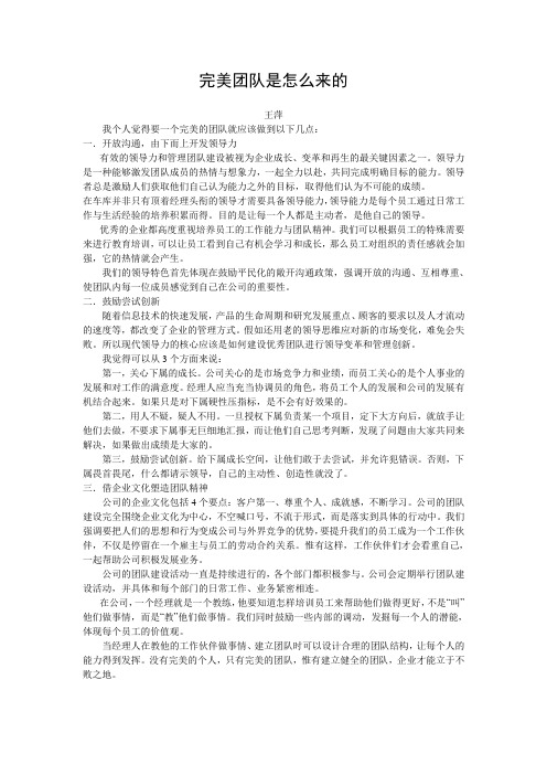 完美团队是怎么来的