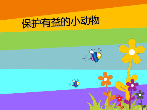 保护有益的小动物