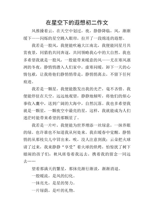 在星空下的遐想初二作文