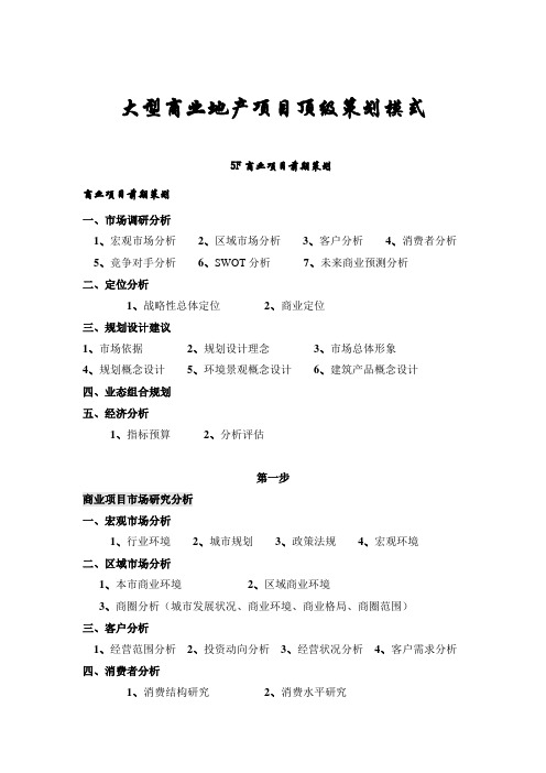 大型商业地产项目顶级策划模式概述000002)