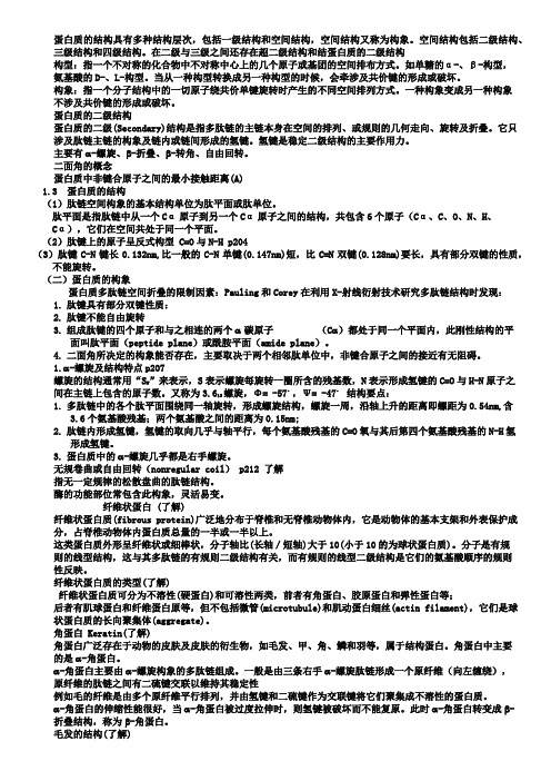 蛋白质的二级结构