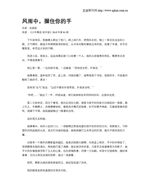 风雨中,握住你的手
