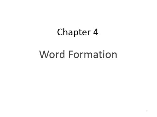 词汇学第四章word formation (课堂PPT)