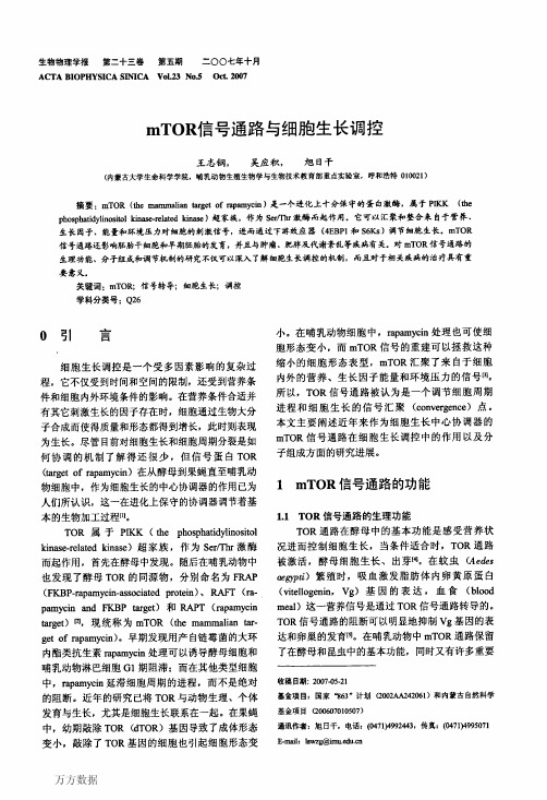 mTOR信号通路与细胞生长调控