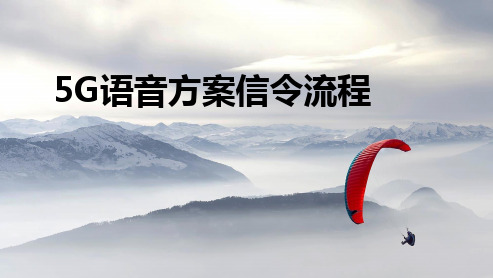 5G核心网语音方案信令流程