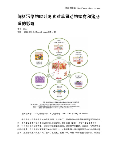 饲料污染物呕吐毒素对单胃动物家禽和猪肠道的影响