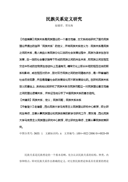 民族关系定义研究