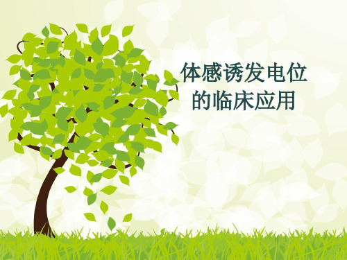 体感诱发电位的临床应用课件