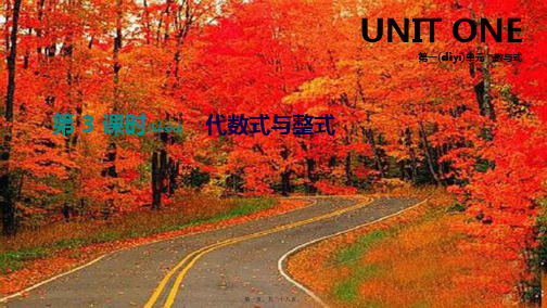 中考数学总复习 第一单元 数与式 第03课时 代数式与整式课件