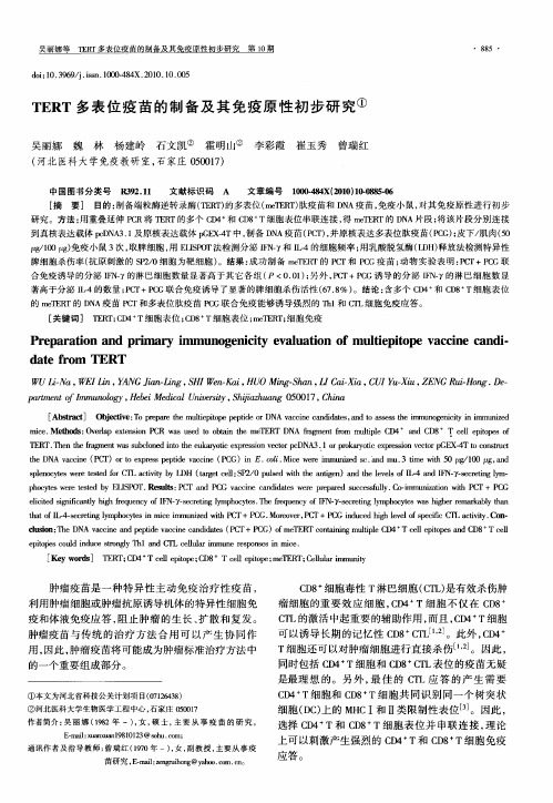 TERT多表位疫苗的制备及其免疫原性初步研究