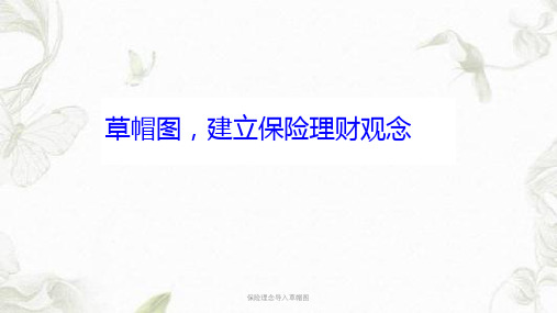 保险理念导入草帽图ppt课件