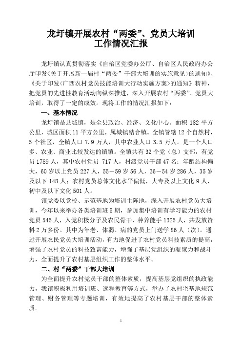 开展农村两委党员大培训工作情况汇报
