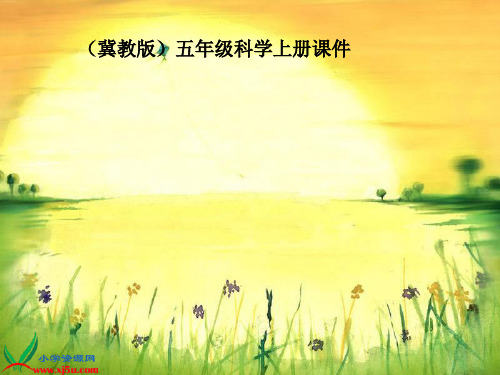 冀教版小学科学五年级上册《燕子南飞》精品PPT课件