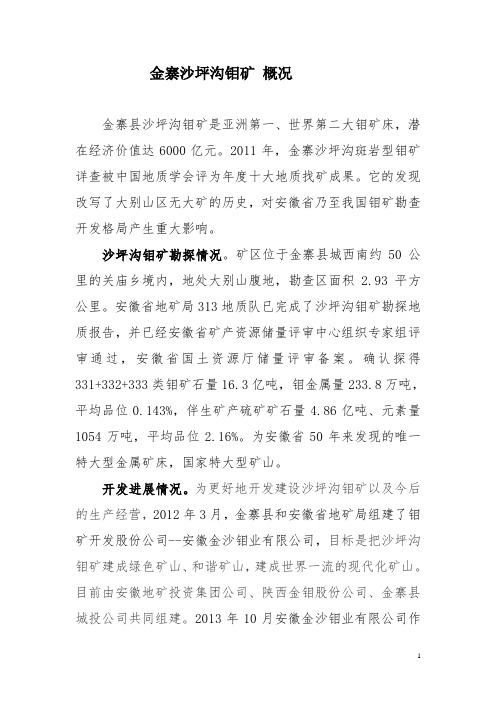 金寨沙坪沟钼矿概况