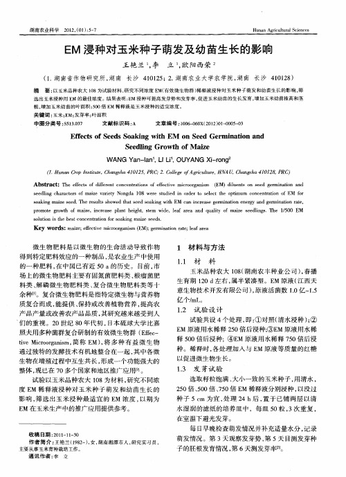 EM浸种对玉米种子萌发及幼苗生长的影响