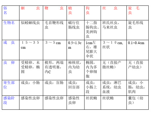 线虫比较