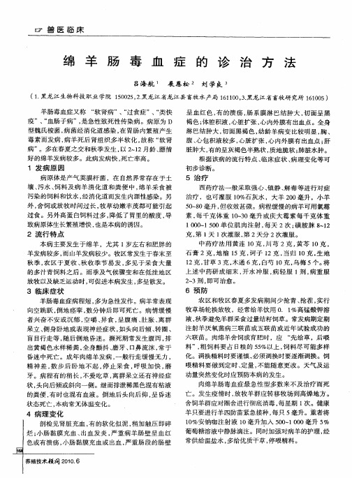 绵羊肠毒血症的诊治方法