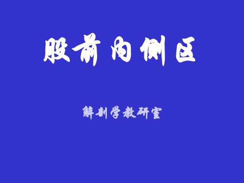 股前内侧区解剖