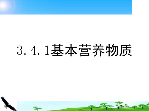 基本营养物质