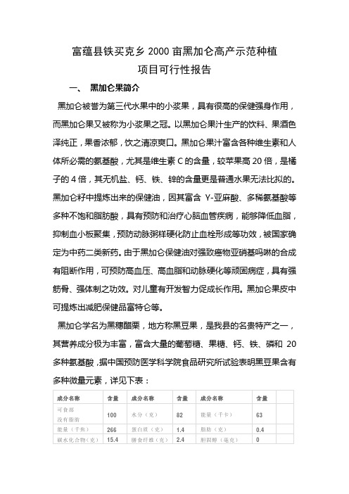 黑加仑可行性报告
