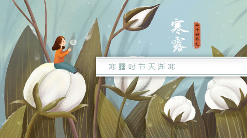 二十四节气 寒露 PPT