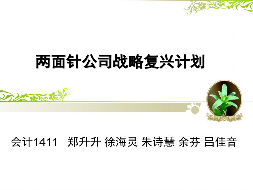 两面针公司战略复