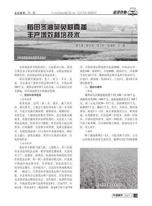 稻田冬油菜免耕直播丰产增效栽培技术
