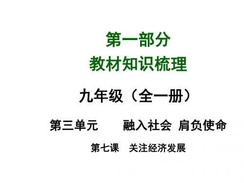 2015届中考政治课时考点总复习课件16