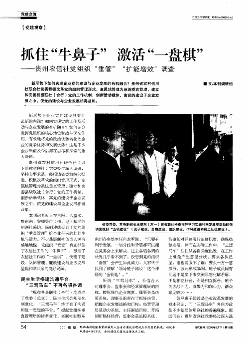 抓住“牛鼻子” 激活“一盘棋”——贵州农信社党组织“垂管”“扩能增效”调查