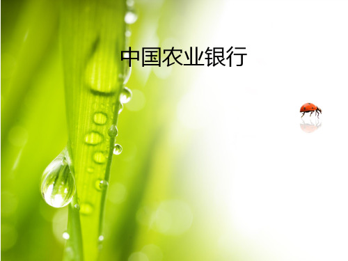 中国农业银行资本充足率分析