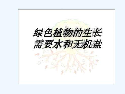 无土栽培PPT课件.ppt