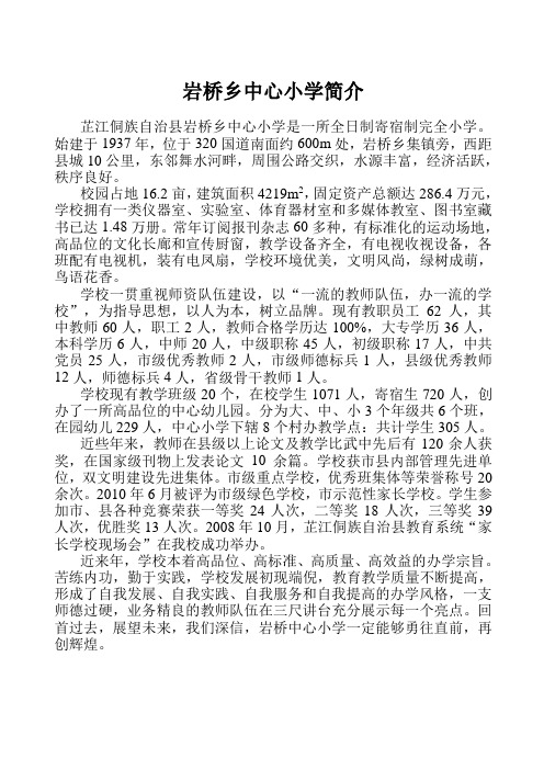 2009岩桥乡中心小学简介