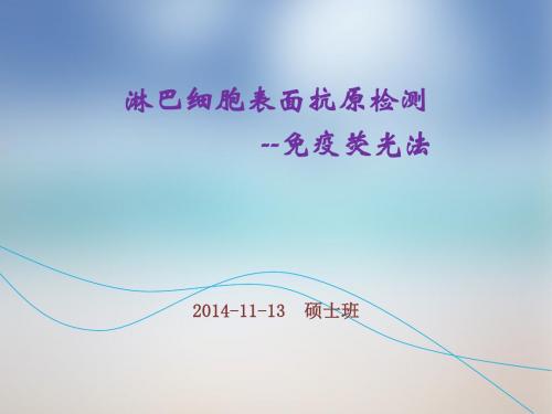 淋巴细胞表面抗原检测20141113硕士班