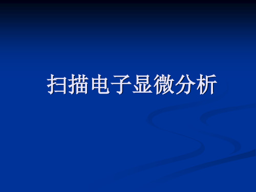 扫描电子显微分析