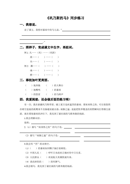 《巩乃斯的马》同步练习1