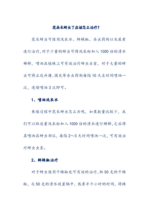 花朵长蚜虫了应该怎么治疗