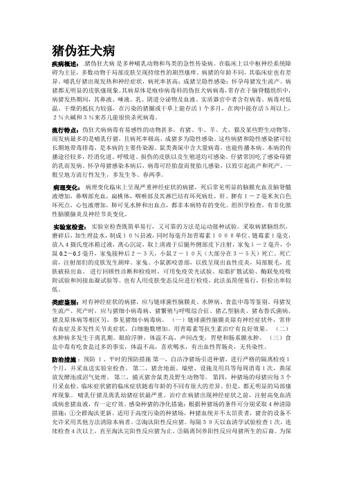 猪伪狂犬病