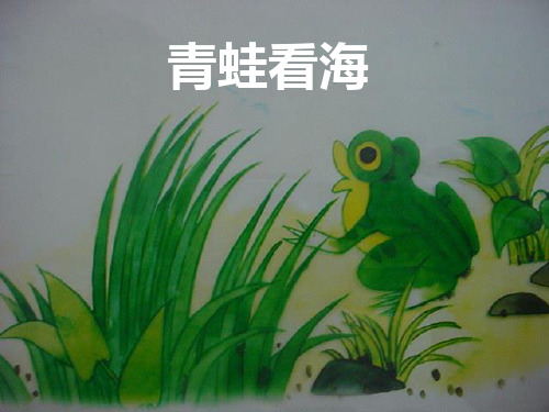 《青蛙看海》教学精品PPT课件